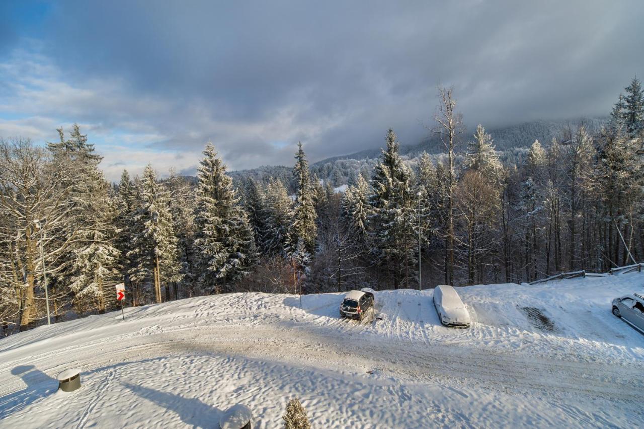 Silver Sunrise Studio In Silver Mountain Poiana Brasov Buitenkant foto
